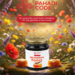 Himalayan Wild Multi floral Honey